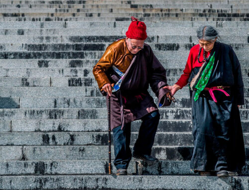 Uljudnost kao odabir