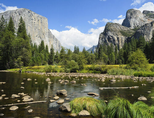 John Muir: Zaštitnik prirode i filozof